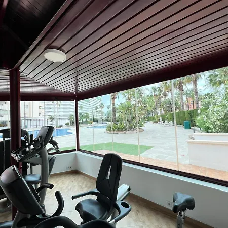 Rosa De Vientos